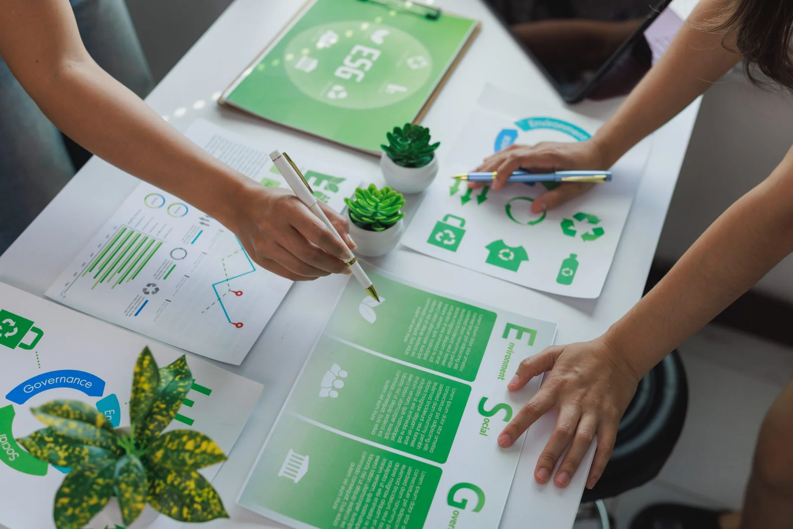 Um novo padrão para a sustentabilidade no Brasil